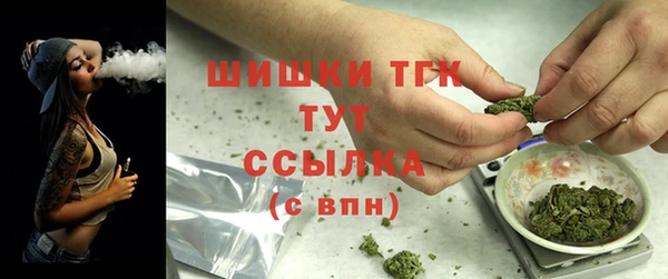 прущий лед Алексин