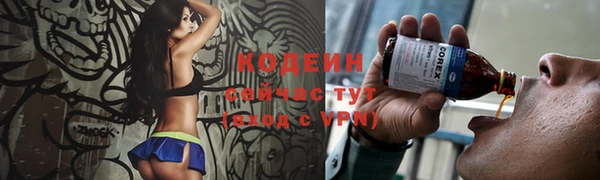 прущий лед Алексин