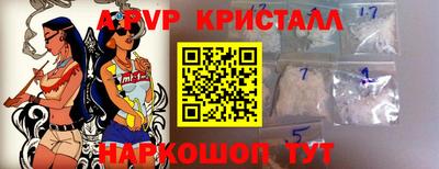 гашик Кингисепп