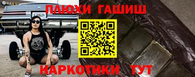 гашик Кингисепп